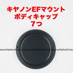 ニコン NIPPON KOGAKU 富士山マーク レンズリアキャップ Fマウント
