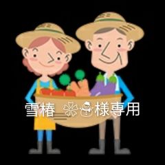 淡路島産訳あり新玉ねぎ夢玉 無農薬 高糖度 甘い 香りがいい 淡路島夢玉ファーム