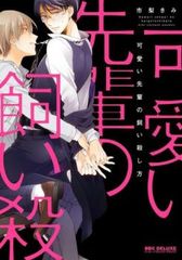 明朝皇伝 大王への道(20枚セット)第1話～第40話 最終【字幕