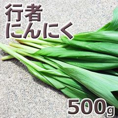 予約　天然山菜・【葉が開いた】行者にんにく５００ｇ(大小バラ詰め)
