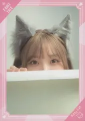 Liyuu トレーディングカード N〜RRRコンプ・他レア有 Liyuu