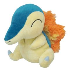 ポケモンセンター限定 ヒノアラシ ぬいぐるみ タグ付き - メルカリ
