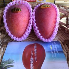 宮古島産マンゴー(2個)・クール便発送です。 - メルカリ