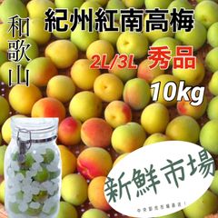 紀州・和歌山産 ”紅南高梅” 秀品 2L〜3L 約10kg   6月より順次発送！
