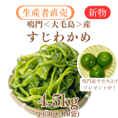「生産者直売」鳴門すじわかめ 450g×10個