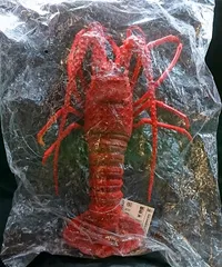 鰯金属化　イワシ金属化　イセエビ　伊勢海老　作品　フィギュア　置物　工芸 鰯金属化イワシ金属化イセエビ伊勢海老作品フィギュア置物工芸