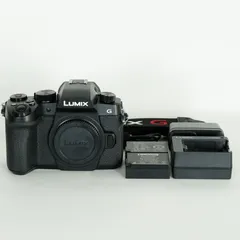 2025年最新】lumix g8の人気アイテム - メルカリ