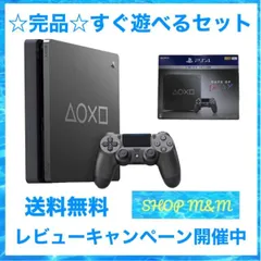 Amazon.co.jp: PlayStation 4 Days of Play Limited Edition 1TB