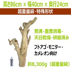 流木のアート工芸品 流木の鳥｜針原修