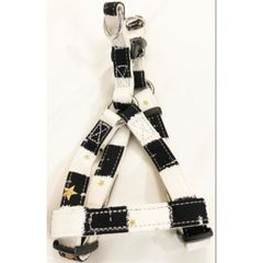 Item thumbnail for item 7c8ea337-fb44-43a8-a6ec-98dcc505448d