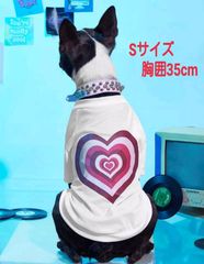 ペット服　ドックウェア　Sサイズ　s　ペットウエア　犬の服　犬の洋服　犬服　犬　洋服　服　Tシャツ　バスト３５cm　ハート