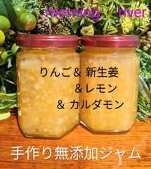 🍎🍊🍋林檎＆新生姜＆カルダモンの手作り無添加ジャム☀️糖度違い2個セット(コンフィチュール)