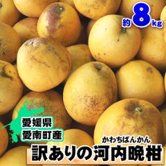 ＼早い者勝ち／ 愛媛県 愛南町産 訳あり 河内晩柑 小さいサイズから大きいサイズまで混ざり 8kg