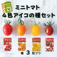 【野菜の種】カラフル美味しい♡ミニトマト「アイコ」シリーズ４色　種３粒づつ