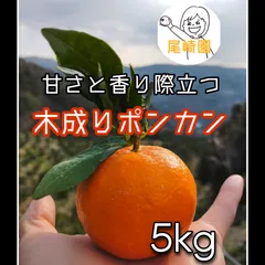 2024年最新】みかん 5kg 有田の人気アイテム - メルカリ