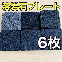 溶岩石プレート10×10cm 40枚 隠れ家 バスキング 陸地 メルカリ