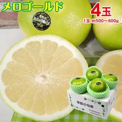 2026年最新】オロブロンコの人気アイテム - メルカリ