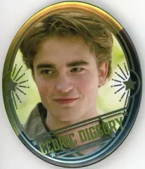 2025年最新】ハリーポッターオーバルカンバッジコレクションの人気