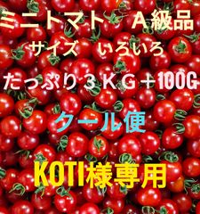 koti様専用 ミニトマト　３kg＋100g