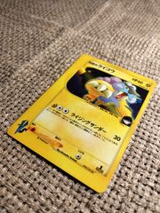 NO026_R団のライコウ_ポケモンカード_カードe