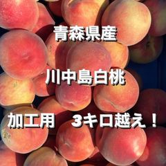 摘果桃　川中島白桃　加工用