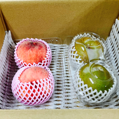【選果落ち 訳あり商品】国産 九州産 梨 2玉 約600g＆ 大玉 桃 2玉 約600g 箱込み【003】クール冷蔵 規格外 家庭用 贈答不可 加工用  果物  熊本 福岡 なし もも モモ フルーツ 果物 産地 品種お任せ 旬のものをお届け