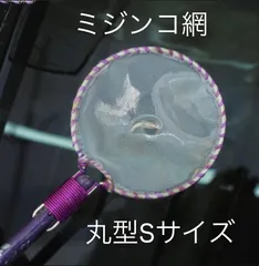 丸型 密網ネット Mサイズ 100本セット メダカ めだかミジンコ 熱帯魚 タモ Amazon.co.jp: 8個密目小さい丸型 フィッシュネットミジンコ網