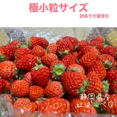 極小粒＆訳あり 紅ほっぺ いちご 🍓 〜農家直送〜