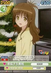 ヴィクトリースパーク ToLOVEるダークネス 未開封box 美柑 セット
