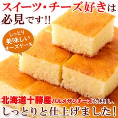 【ポスト投函】北海道十勝産パルメザンチーズ使用!!ひとくちチーズケーキ15切れ SNC00010164