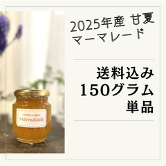 【送料込み】無添加・手作り 甘夏マーマレード（単品）