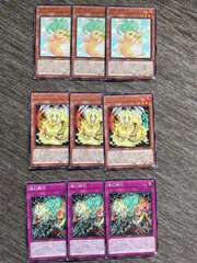 遊戯王　天盃龍　デッキパーツ　まとめ売り　新規