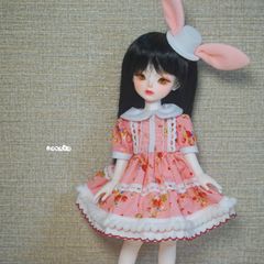 1/6サイズドール&blythe