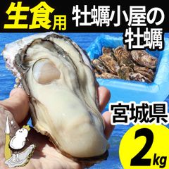 牡蠣 生食用 2kg 10～16個 殻付き 産地直送 宮城県産 三陸 カキ 牡蛎 生牡蠣 海鮮 貝 貝類  バーベキュー BBQ 刺身 産直 牡蠣2