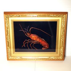 美品 特大 色鮮やかな錦海老 伊勢海老 剥製 壁掛け オブジェ