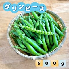 福岡県産 鞘付きグリンピース  500g ネコポス 農薬不使用