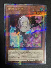 遊戯王 - 遊戯王　儚無みずき　プリシク　絵違い　×2 ハナミズキ2枚分です Amazon.co.jp: 遊戯王カード 儚無みずき(イラスト違い