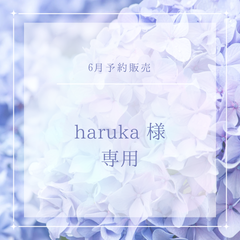 【haruka 様専用】