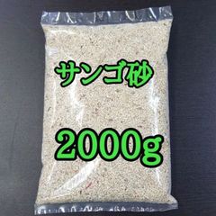 サンゴ砂  海水水槽
