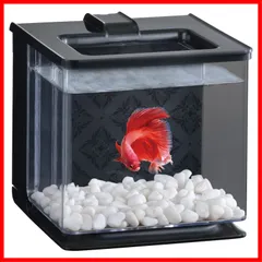 【特売】ジェックス GEX AQUARIUM 楽アクア ブラック 水換え簡単コンパクト水槽ベタ飼育W16×D17×H16cm 約2.1Lのサムネイル