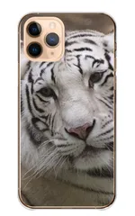 iPhone 12 iPhone12Pro ケース カバー アイフォン12 スマホケース ハードケース 虎 トラ タイガー ホワイトタイガー tiger かっこいい カッコイイ 動物 アニマル カラー08