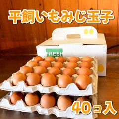 【クール便🚛】平飼いもみじ玉子40コ入