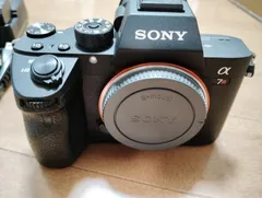 2025年最新】ソニー α7R III ILCE-7RM3 ボディの人気アイテム - メルカリ