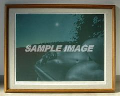 ポール・ヴンダーリッヒ 版画 「Twilight(Blatt 8)」【額縁付き】Paul Wunderlich#FA050016