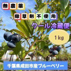ブルーベリー１kg