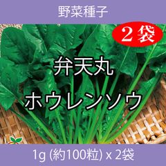 野菜種子 TVA02 弁天丸ホウレンソウ 1g(約100粒) x 2袋