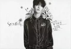 yesung イェソン　spring falling　super junior 2nd Mini Album: Spring Falling 【限定盤】 : SUPER JUNIOR