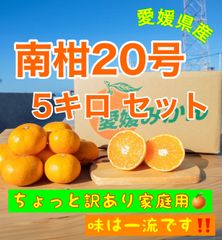 南柑20号5キロ  家庭用