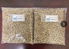 コーヒー生豆　ホンジュラス　800g