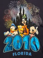Disney ディズニー　フロリダ　2010 ヴィンテージ　tシャツ　ミッキーマウス　カリフォルニア　ディズニーワールド